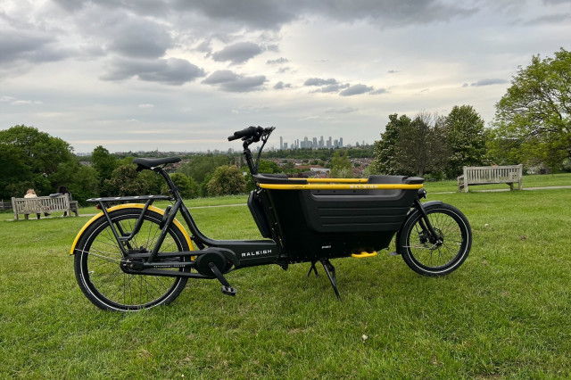 Family cargo outlet trike